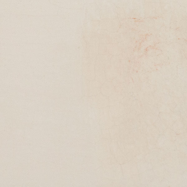White Terra Sigillata